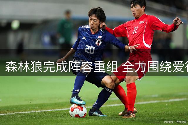 森林狼完成阵容重组 全力围绕爱德华兹打造新体系